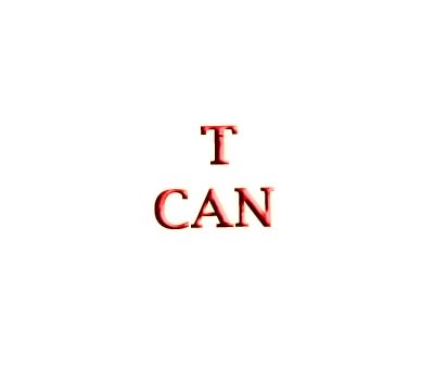 T Can